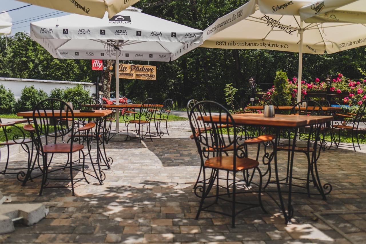 La Pădure Pensiune-Restaurant Novaci-Străini Extérieur photo