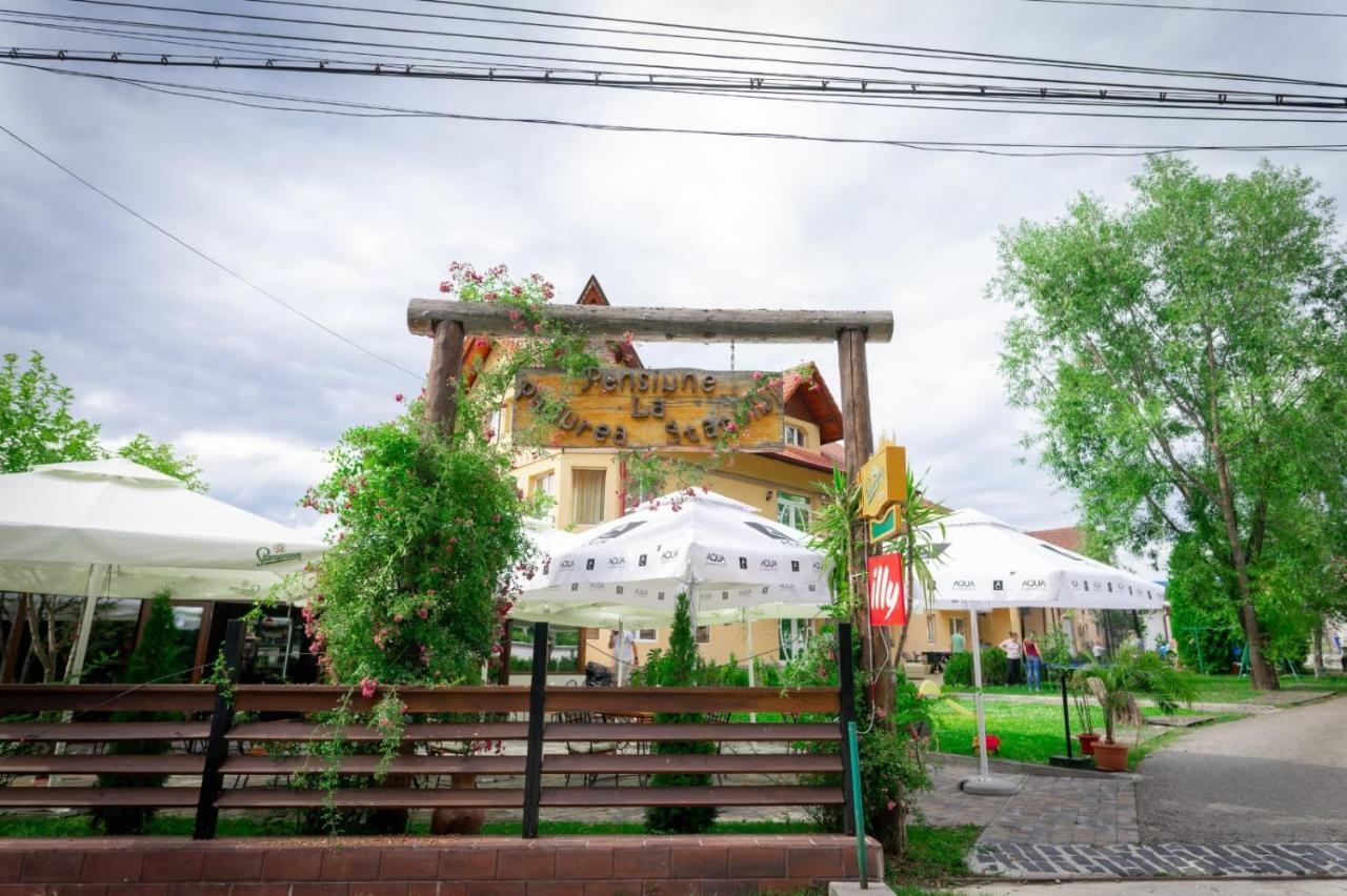 La Pădure Pensiune-Restaurant Novaci-Străini Extérieur photo